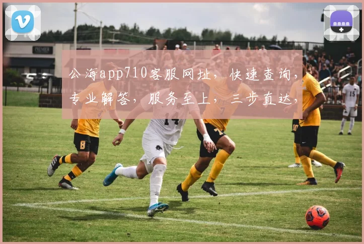 公海app710客服网址，快速查询，专业解答，服务至上，三步直达，轻松获取