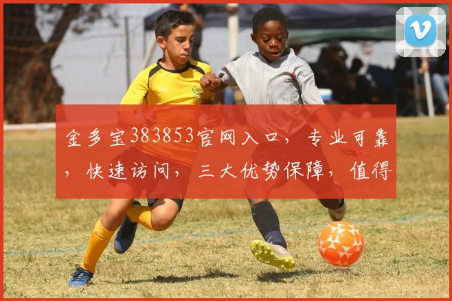 金多宝383853官网入口，专业可靠，快速访问，三大优势保障，值得信赖