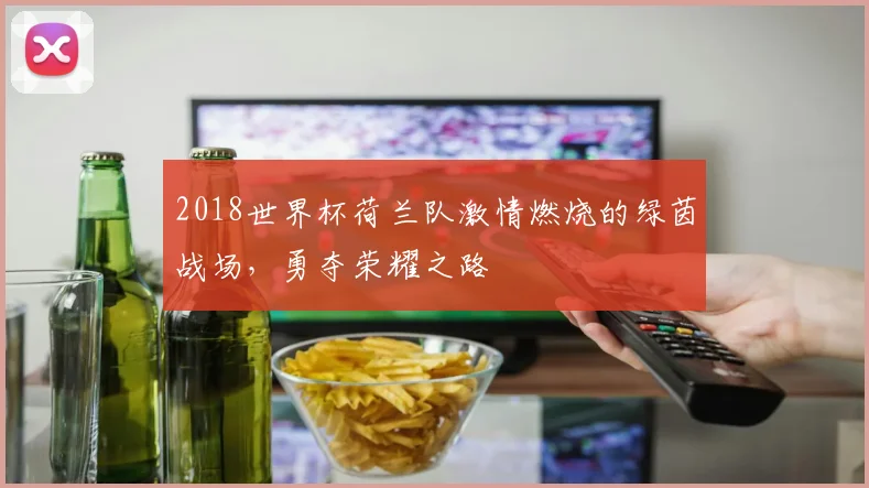 2018世界杯荷兰队激情燃烧的绿茵战场，勇夺荣耀之路