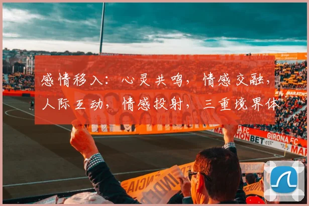 感情移入：心灵共鸣，情感交融，人际互动，情感投射，三重境界体验