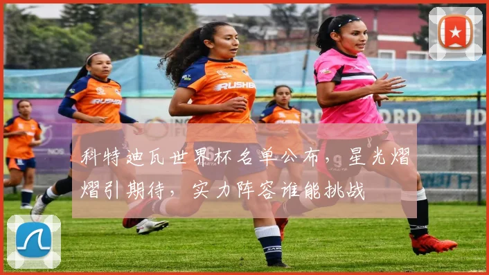 科特迪瓦世界杯名单公布，星光熠熠引期待，实力阵容谁能挑战