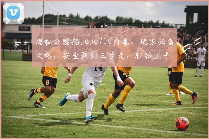 揭秘公赌船jcjc710内幕，玩家必备攻略，安全盈利三步走，轻松上手逗你玩